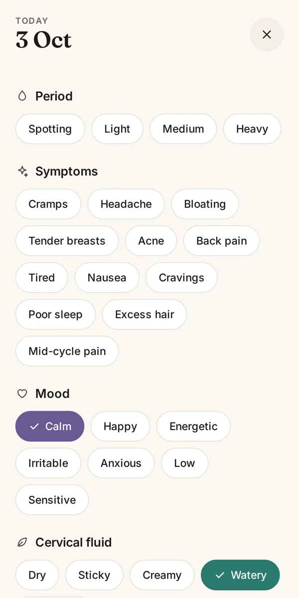 The day log: chips for period flow, symptoms and mood, saved as you tap