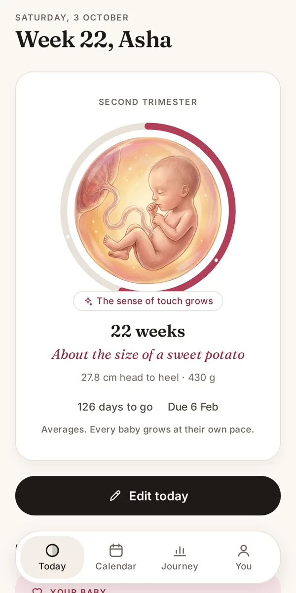 Ovanest in pregnancy mode at week 22: an illustration of the baby, about the size of a sweet potato