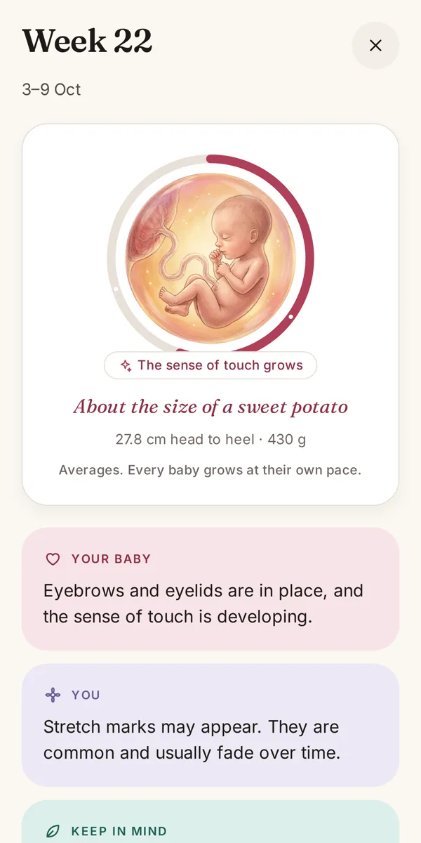 Pregnancy week 22: an illustration of the baby, its size, and notes about the baby and you