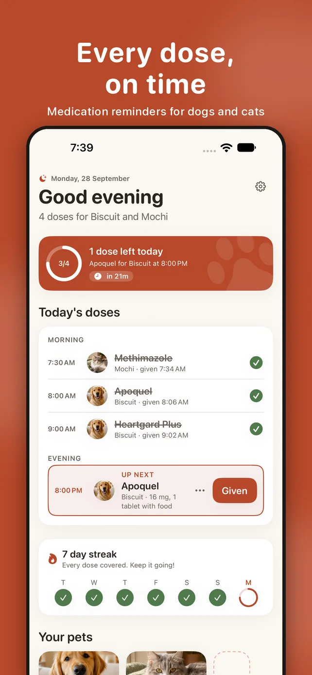PillTail's Today screen: a progress ring and the day's doses grouped into morning and evening